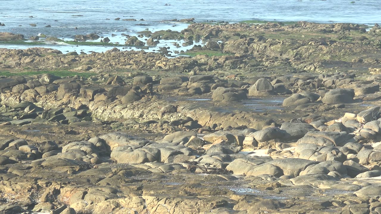 La Bocana BCS Mexico rocky coast at 0:02, with sunlit boulders, shallow water pockets, pale blue ocean in the background, and the small person still visible among the rocks.