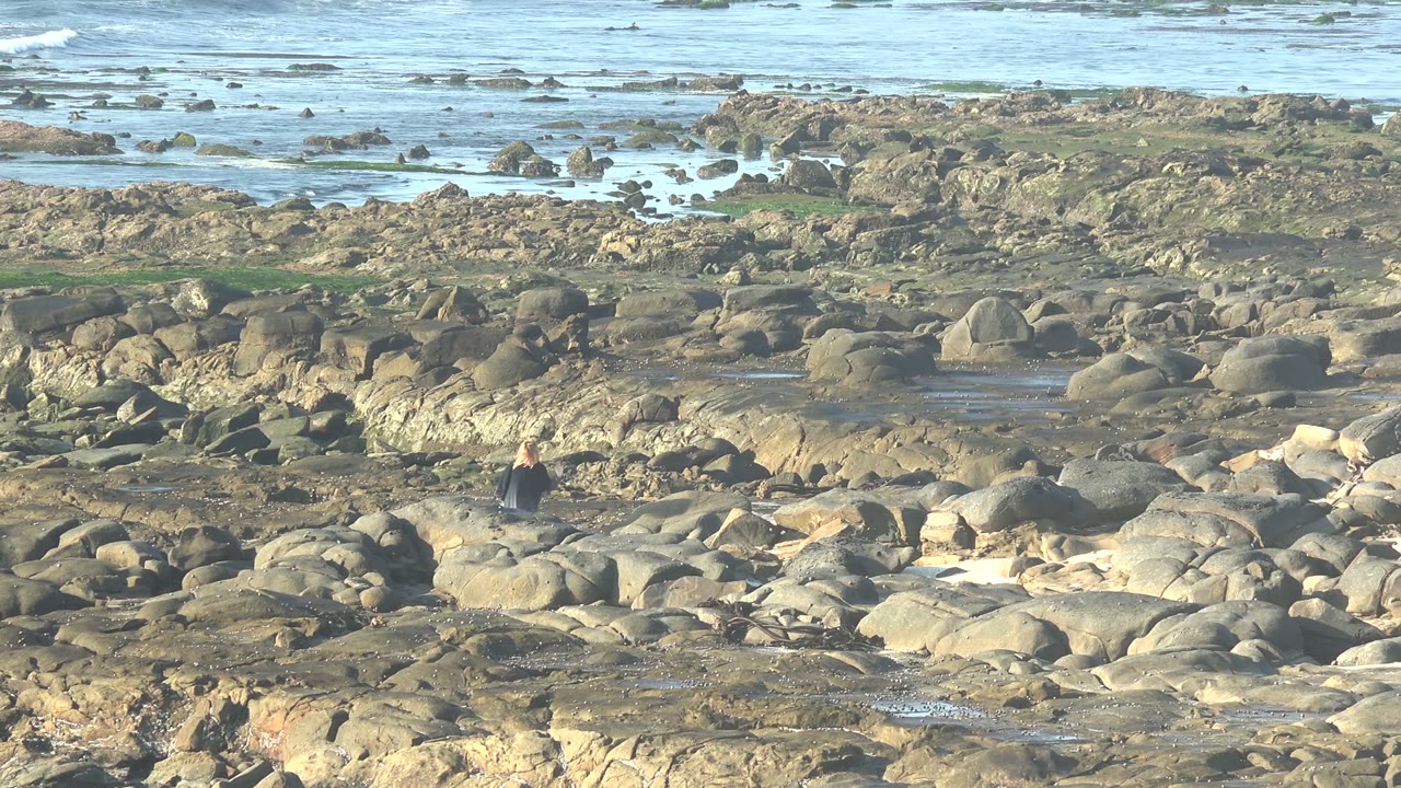 Person moving across tan shoreline rocks with tide pools and ocean water behind.