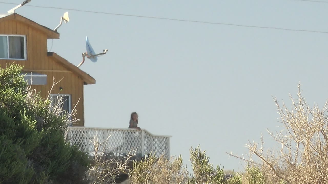 In La Bocana BCS Mexico, a person stands on a white lattice balcony of a wooden house while a bird lifts away near the roof and shrubs fill the lower frame.