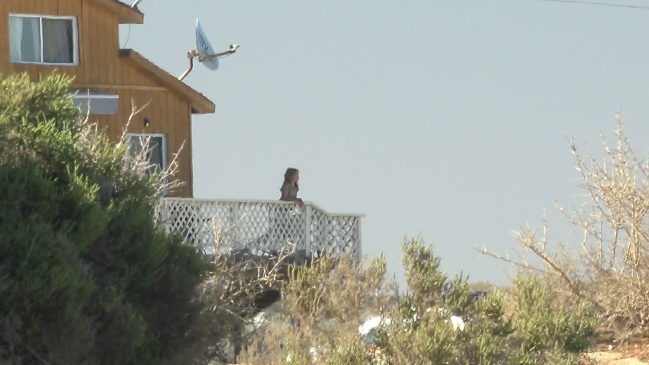 Person on white balcony beside wooden house with bird flying near roof.