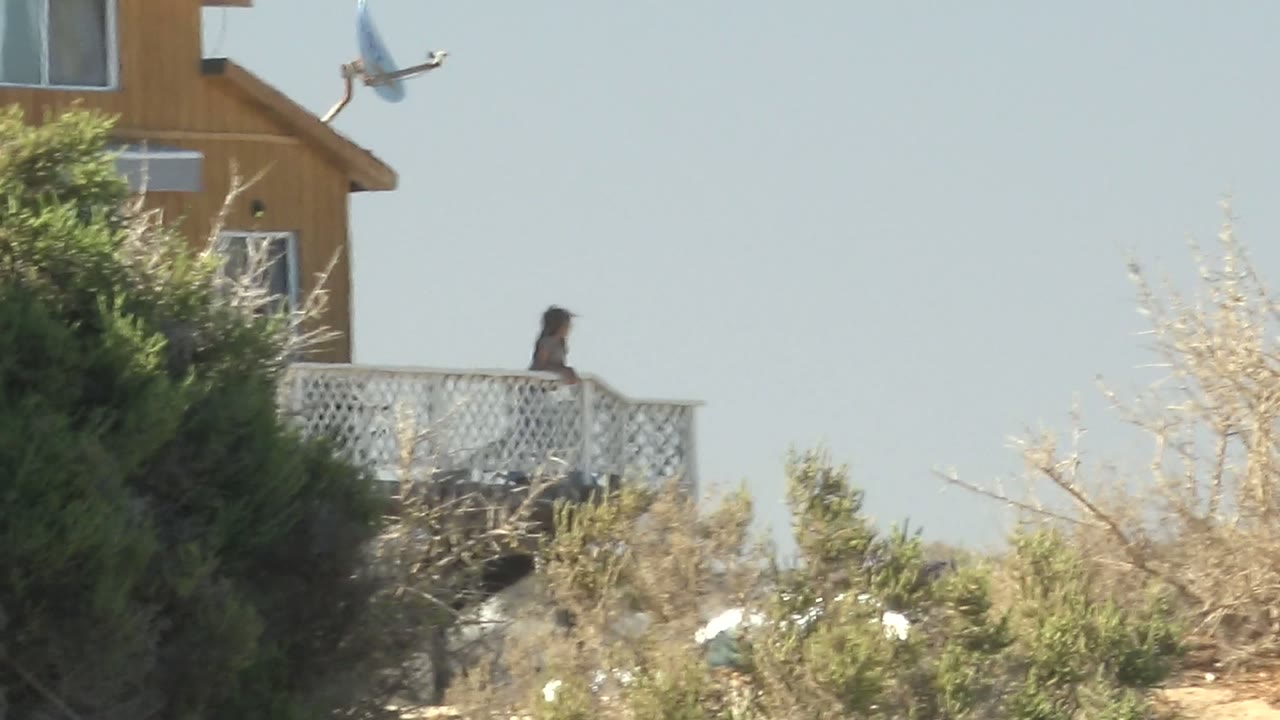 In La Bocana BCS Mexico, the balcony and person are seen beside the wooden house, with the bird higher in the sky and pale branches crossing the lower foreground.