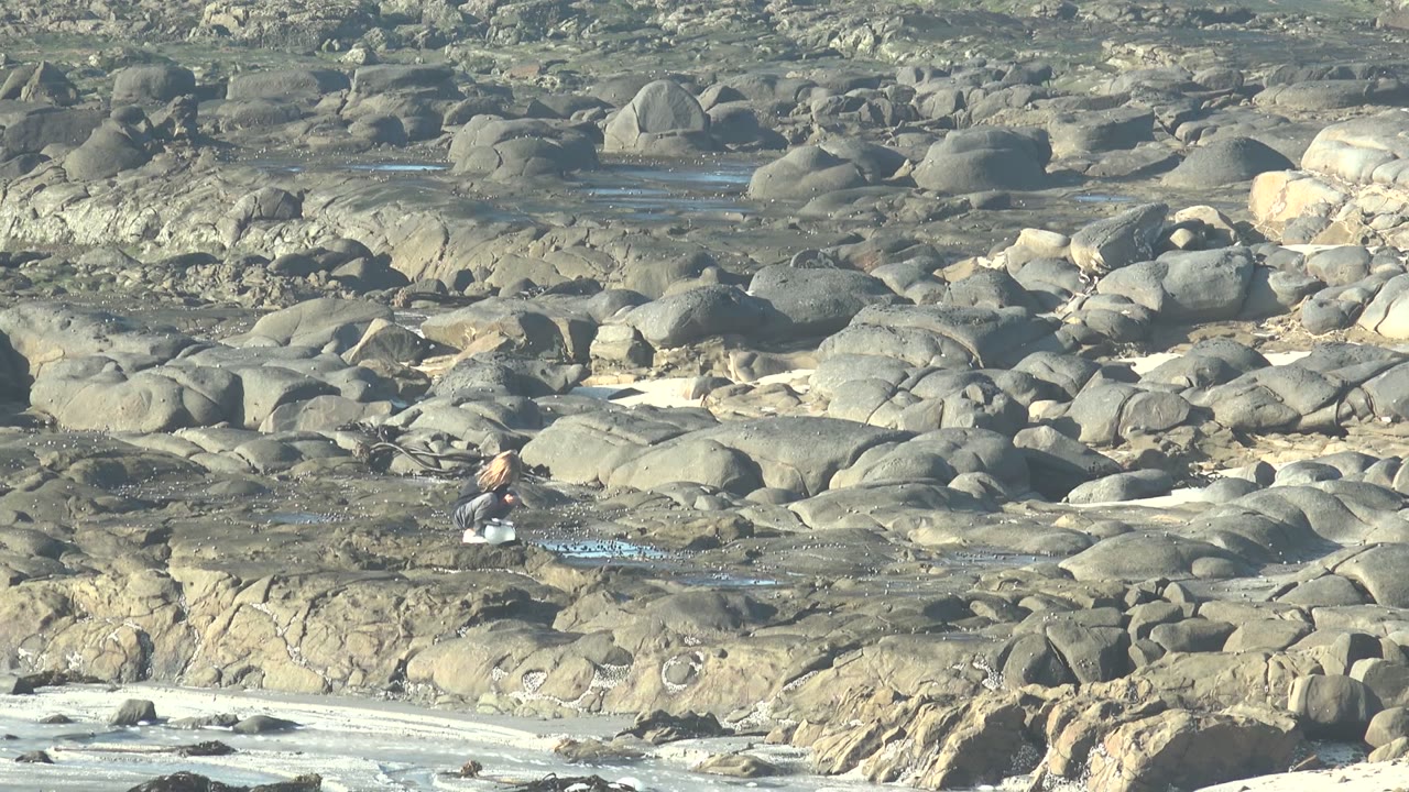 At La Bocana BCS Mexico, a distant person appears low in frame while moving across gray rock shelves, shallow water pools, and pale sand near the surf.