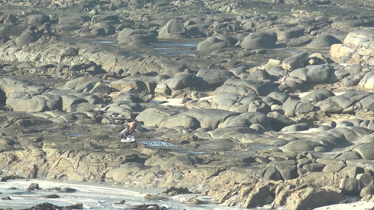 Distant person crossing wet rocks beside small blue pools.