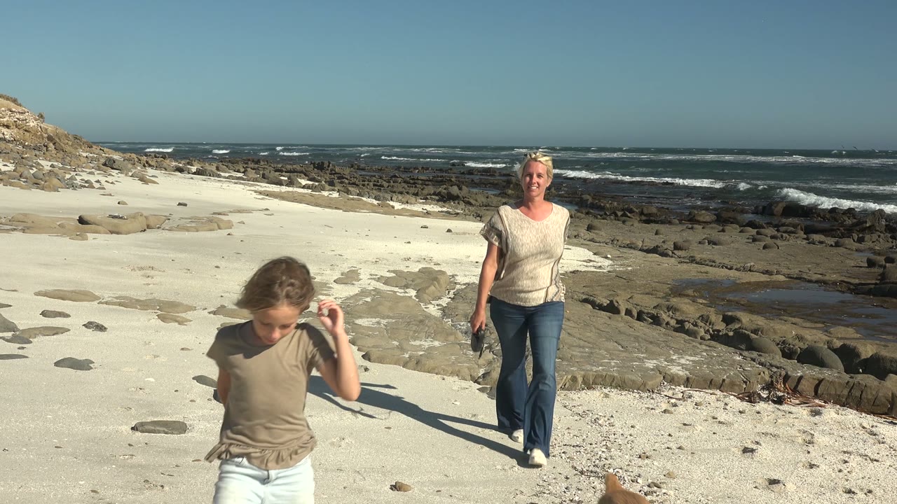 Child closer to camera with adult and dog behind on beach.