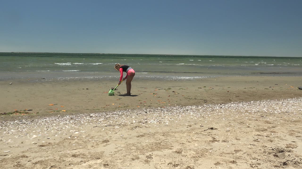 In San Carlos BCS Mexico, a person in pink shorts bends near the left side of the frame with a green grabber on shell-covered sand as shallow ocean water and a clear sky stretch behind them.