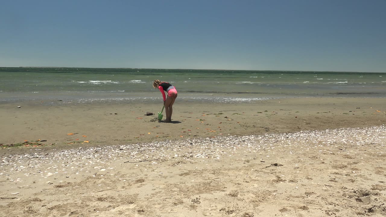 Person using a green grabber on wet sand with low waves in the background.