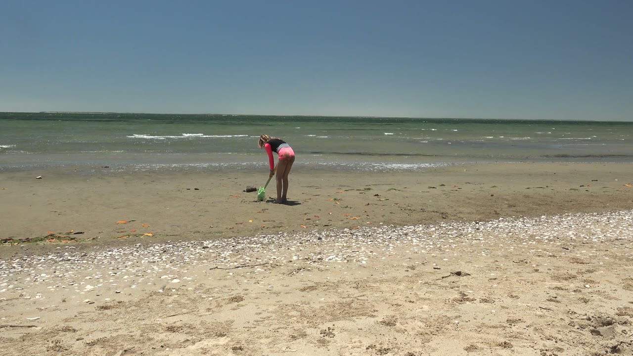 A person in bright pink clothing bends over the sandy shore in San Carlos BCS Mexico with the green grabber touching near scattered shells and seaweed, with small waves beyond.