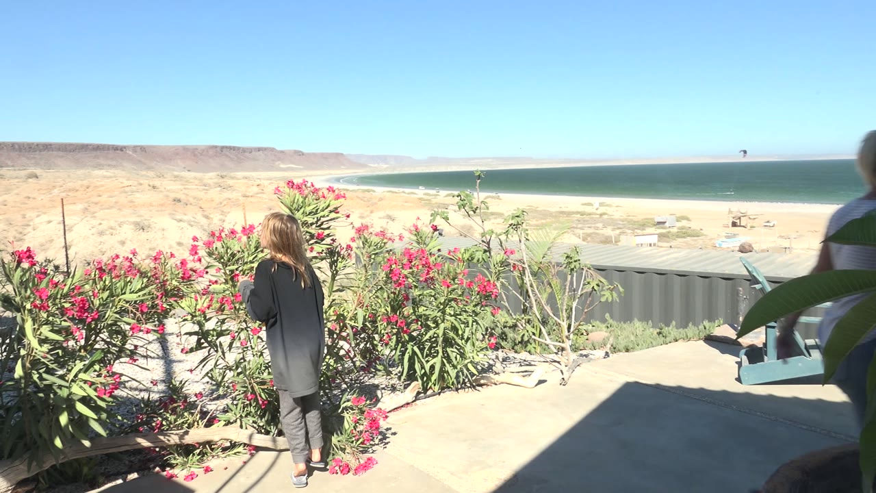 A woman seen from behind walks beside pink flowering shrubs in San Juanico BCS Mexico, with tan desert hills, blue water, and clear sky in the background.