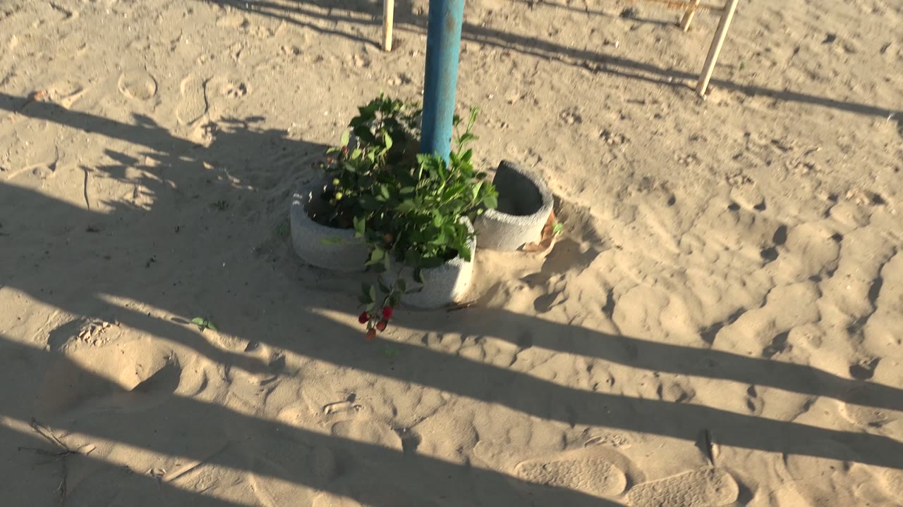 The child in yellow pants continues across the right side of the San Carlos BCS Mexico beach frame while the potted plant, blue pole, sand, and shadows stay visible.