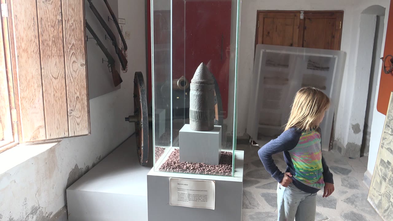 Girl turning away from a glass display case in a museum room.