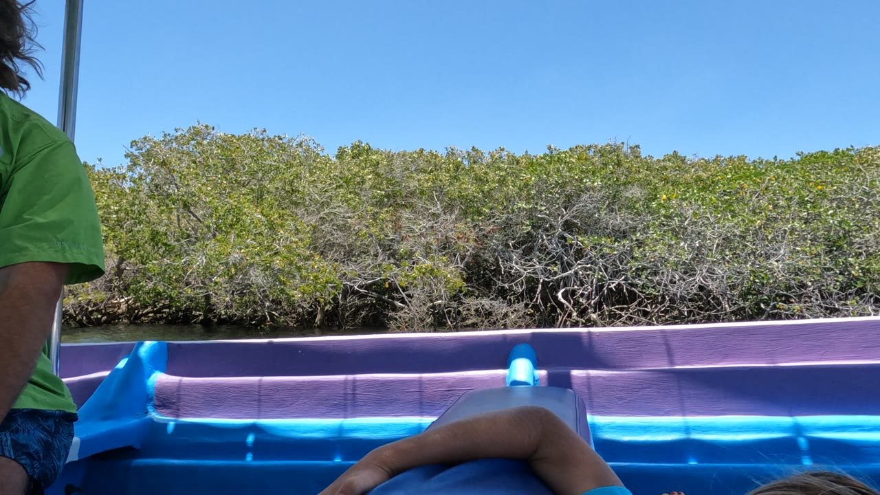 At 0:00 in Baja California Mexico, a girl lies low across a blue and purple inflatable boat while a partial person in a green shirt appears at frame left and mangroves fill the background.