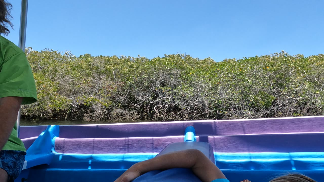 Girl still low on boat with mangroves behind