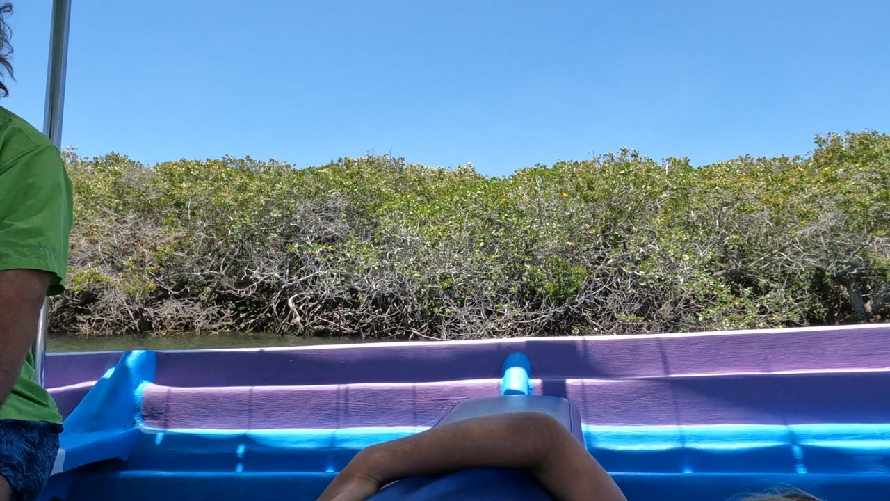At 0:02 in Baja California Mexico, the girl is still low in the foreground with her arm over the inflatable boat, a cropped green-shirted person stands nearby, and dense mangroves sit under a clear sky.