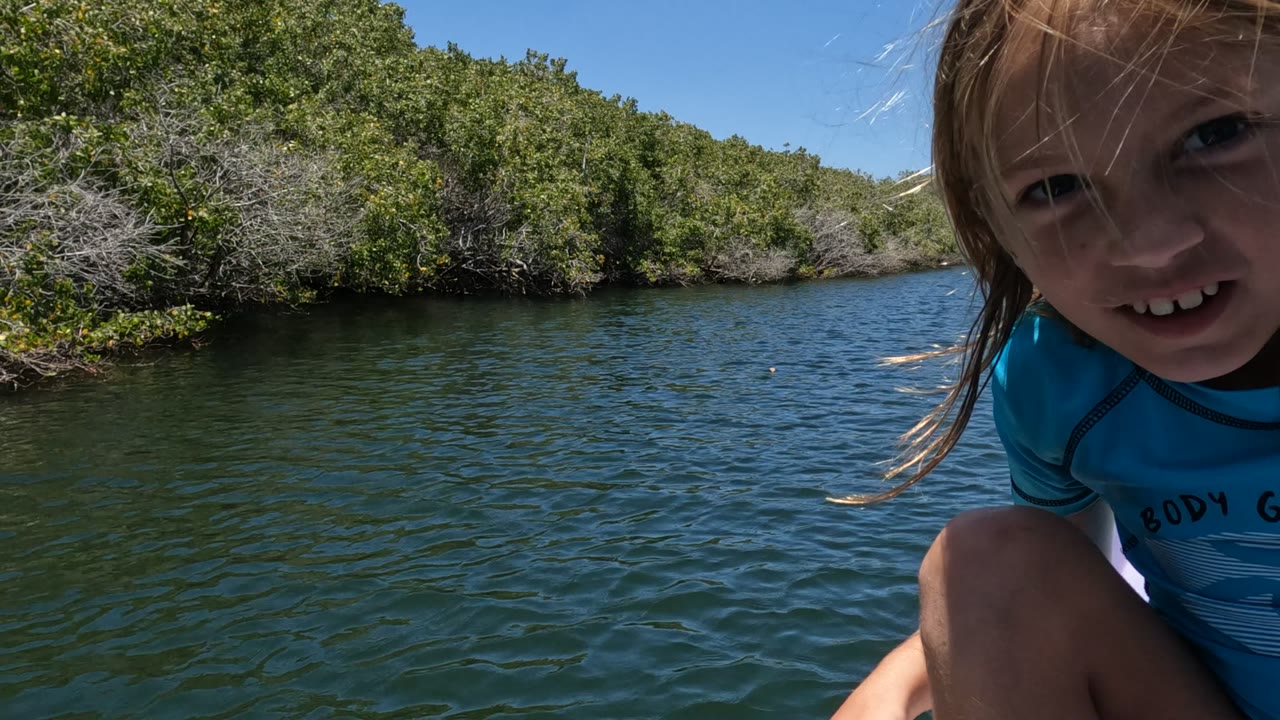 Girl in blue shirt leaning into frame on a boat near mangroves.