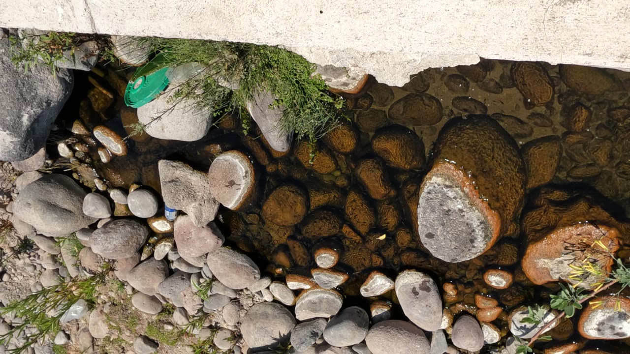 Overhead Baja California, Mexico frame showing a shallow rocky stream beside a pale concrete edge, with sparse greenery and no visible people.