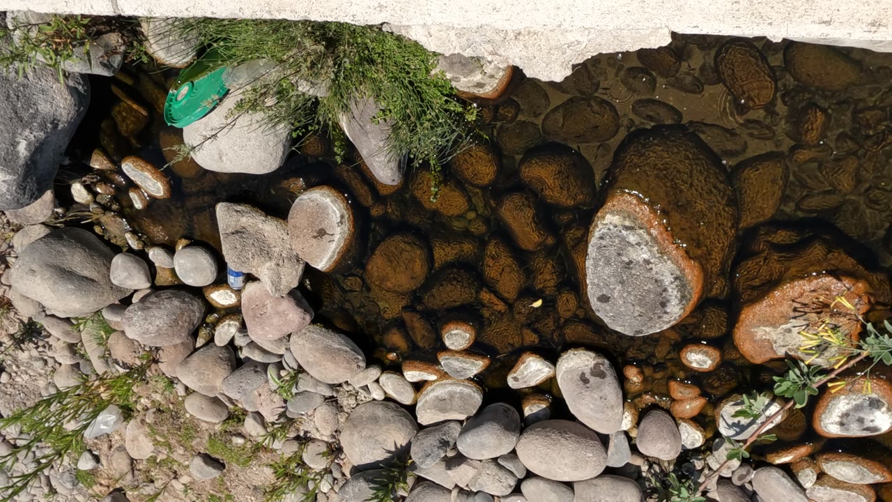 Overhead stream view with clear water, rocks, greenery, and concrete edge.