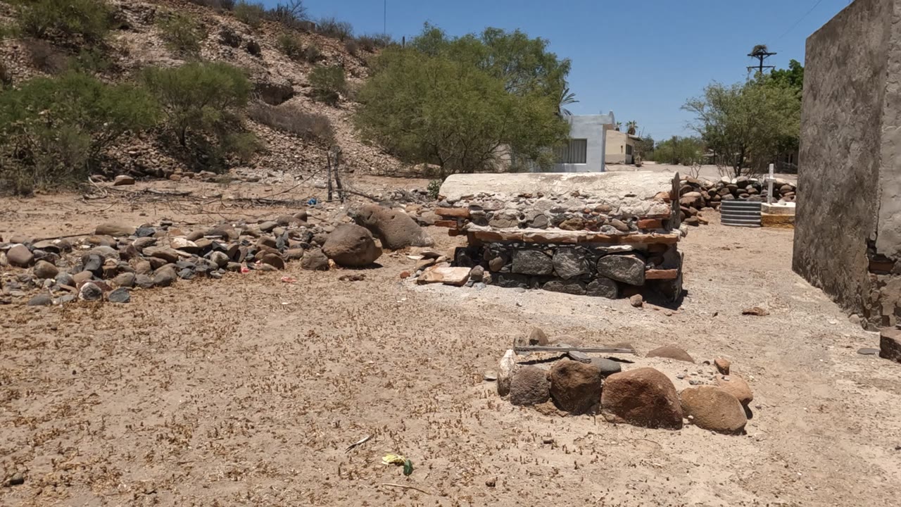 Dry yard with rocks, sparse trees, low stonework, and distant buildings.