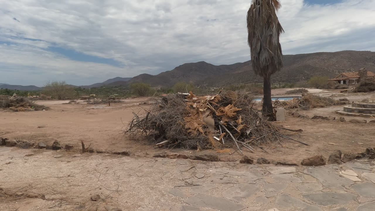 Wide view of a Baja California Mexico desert courtyard with sandy ground, stone paths, dry palms, tall cacti, a white adobe-style building, distant mountains, cloudy sky, and no visible people.