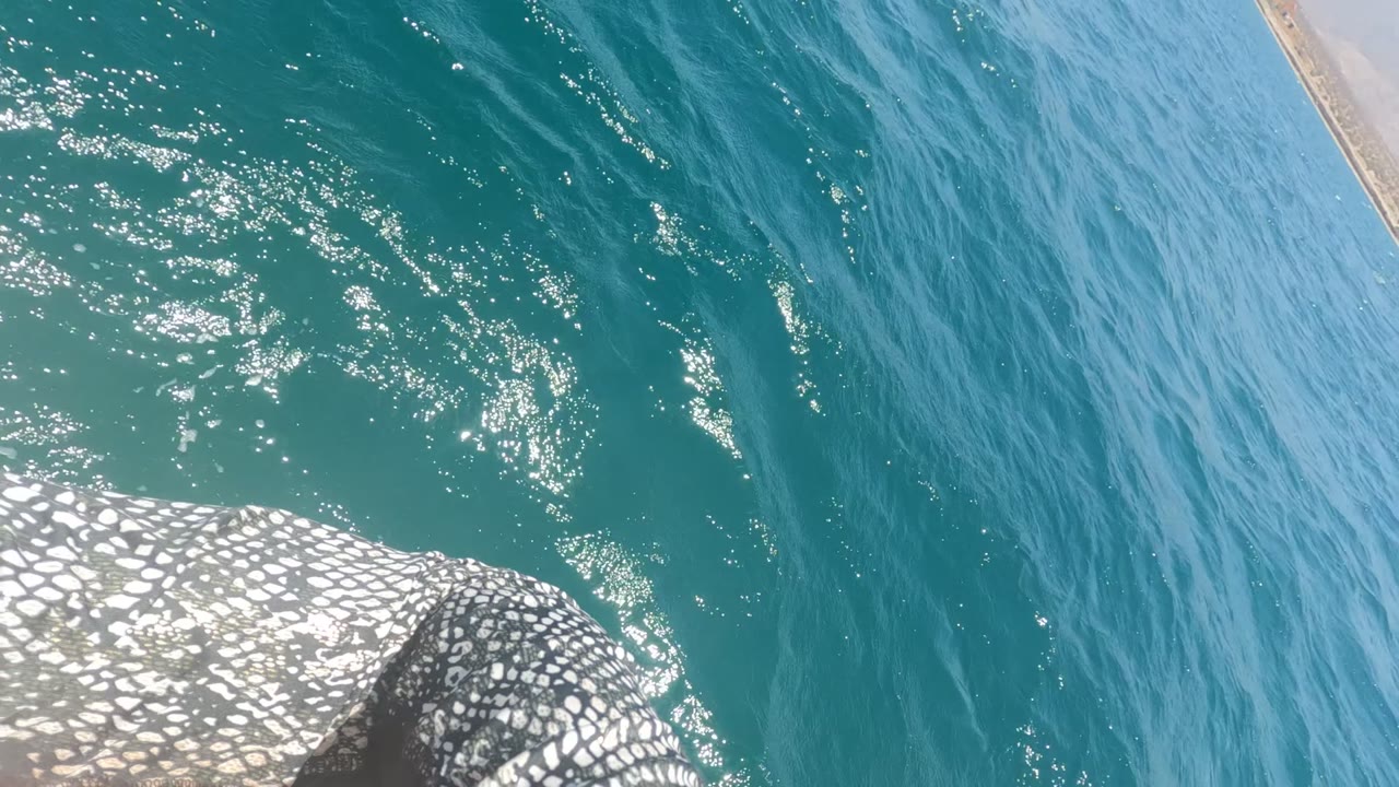 Glistening blue-green water beside a patterned white and dark structure.