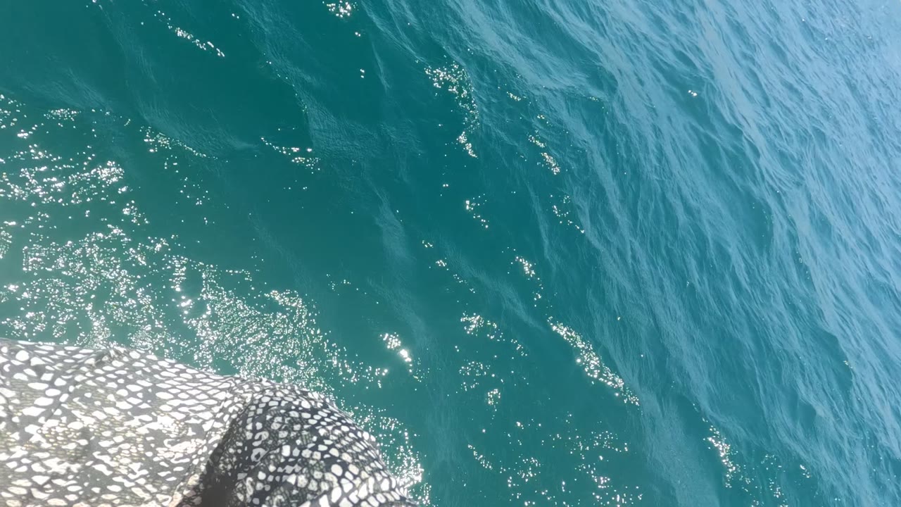 Baja California Mexico ocean surface shows darker turquoise ripples, scattered highlights, a patterned structure along the bottom edge, and no visible people.