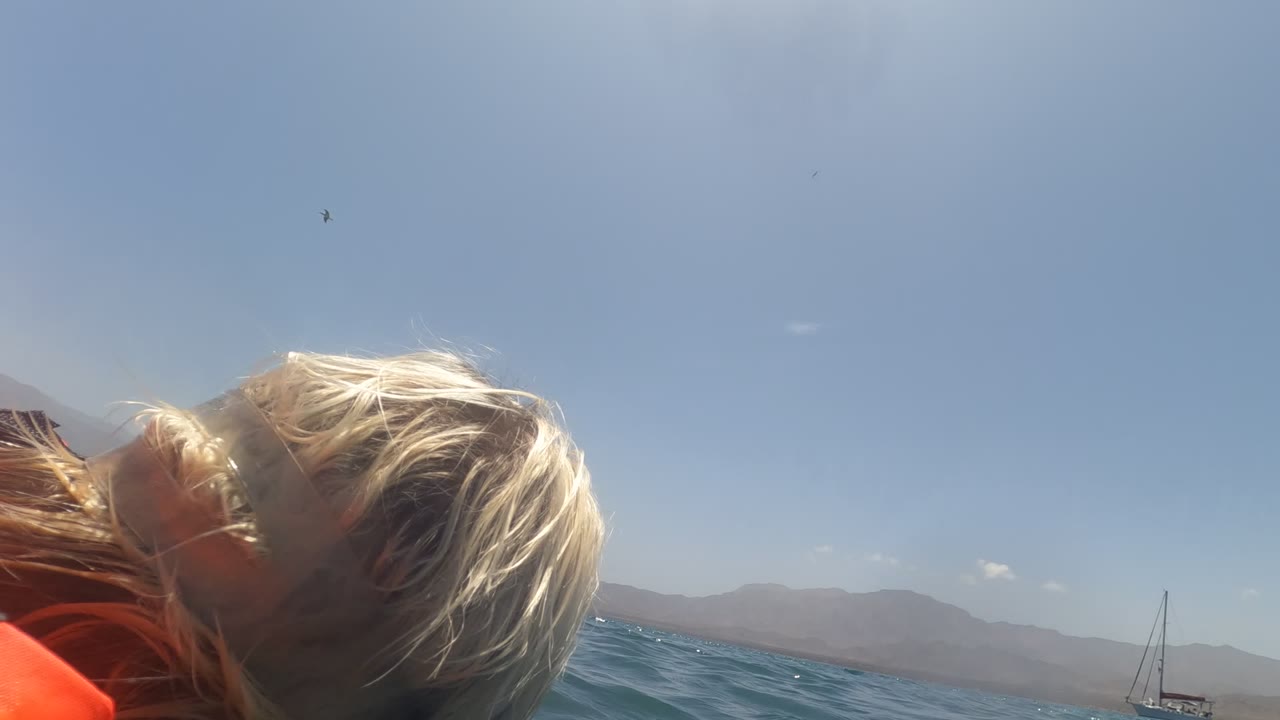 Blonde snorkeler partly out of frame at the ocean surface in Baja California Mexico, with blue sky, rippled water, distant mountains, and a small sailboat near the horizon.
