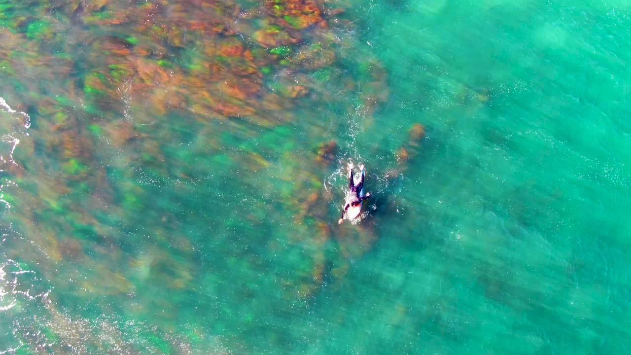 Overhead view in La Bocana, Baja California Sur of a single swimmer in bright turquoise water beside darker underwater vegetation or coral patches and small foam trails.