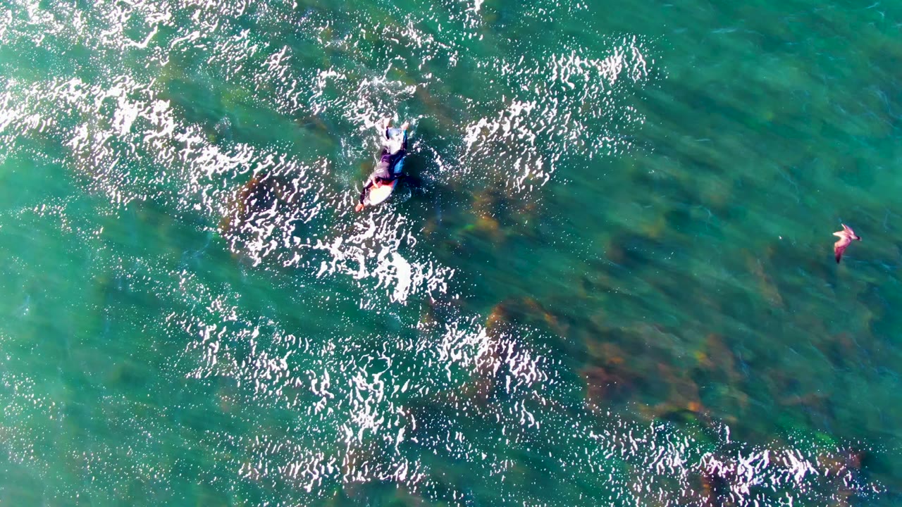 Overhead view in La Bocana, Baja California Sur, showing a swimmer near the upper left crossing turquoise water above dark kelp patches and bright surface sparkle.
