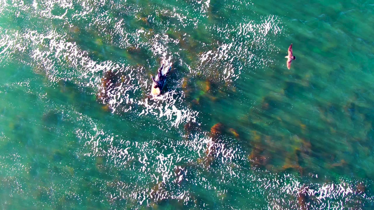 Swimmer and small person-shaped figure in clear ocean water.