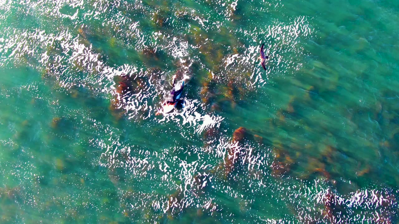 Overhead view in La Bocana with a swimmer near the upper right, a second small figure at the far right edge, and sunlight flashing across turquoise water over kelp.