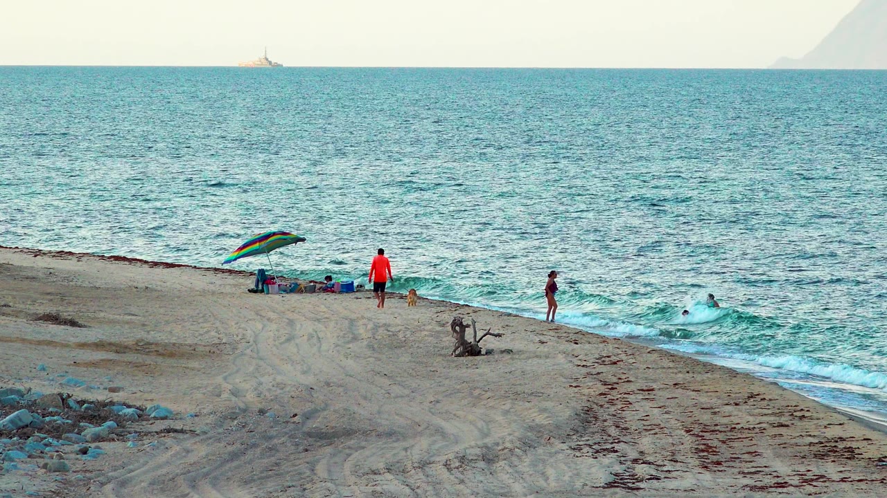 A wide beach view shows the person in orange standing closer to a dog-sized shape near the surf, swimmers spaced along the waterline, and a ship faintly visible beyond the horizon.