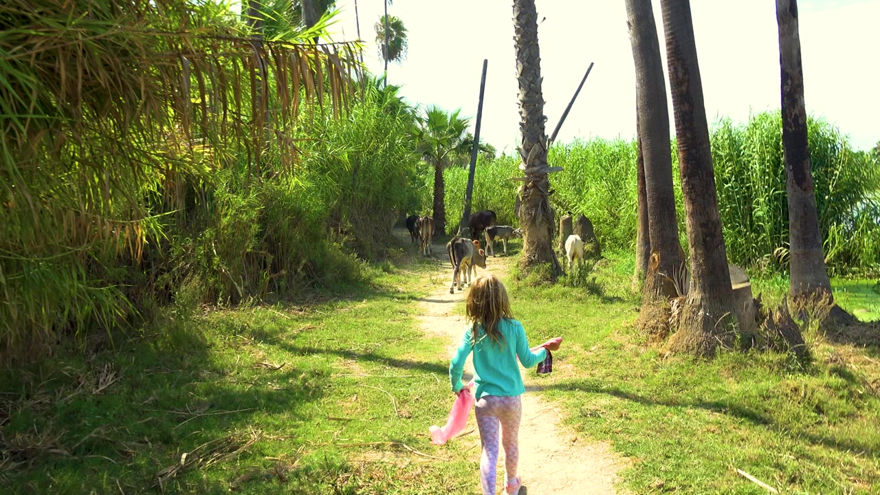 A young girl in a teal shirt runs away from the camera on a sunlit dirt path lined with palms and dense greenery, with cattle visible ahead.