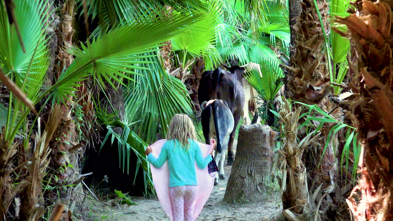 Child and horse moving farther along a sandy palm path.