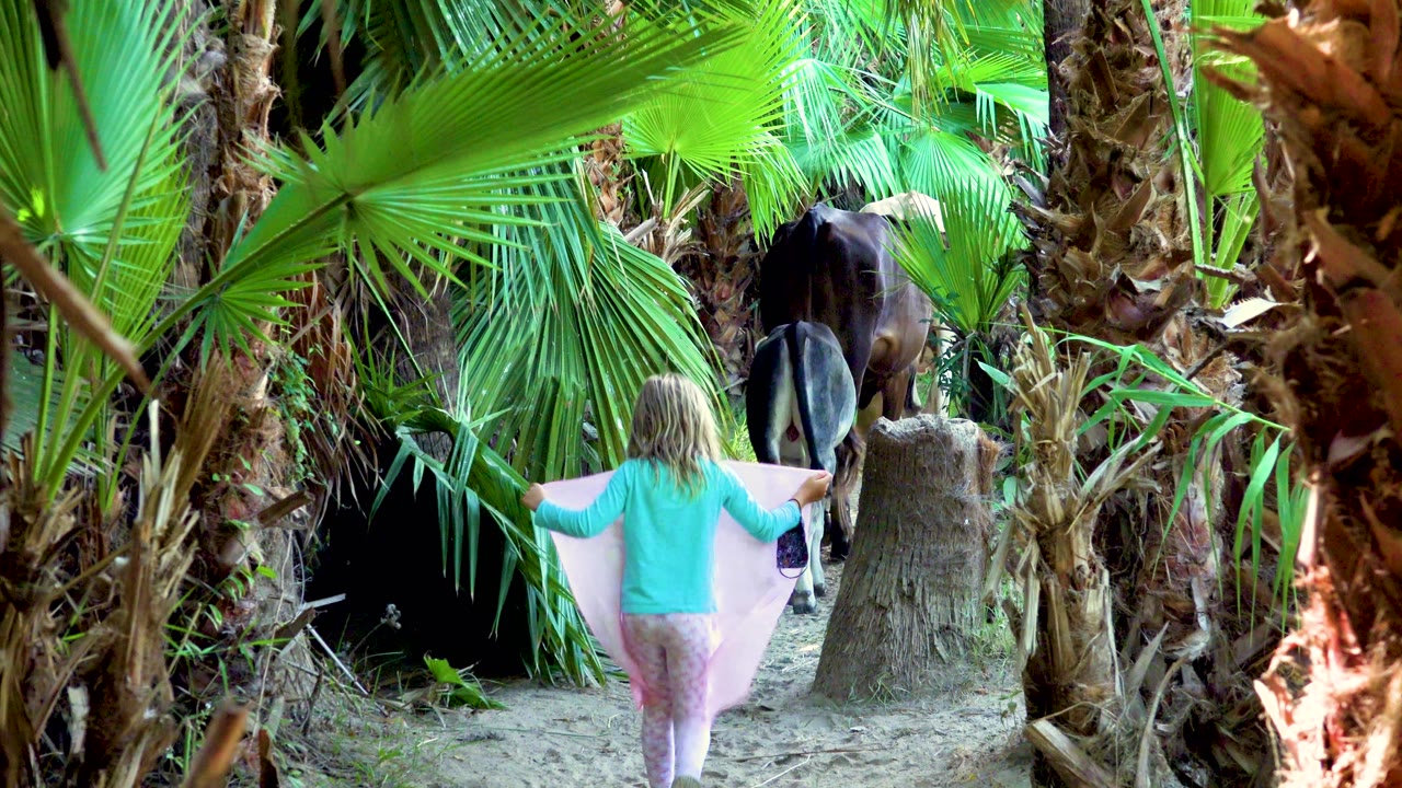 The child spreads the pale pink skirt to both sides while walking after the horse, with a cut palm trunk and large fan leaves visible along the path.