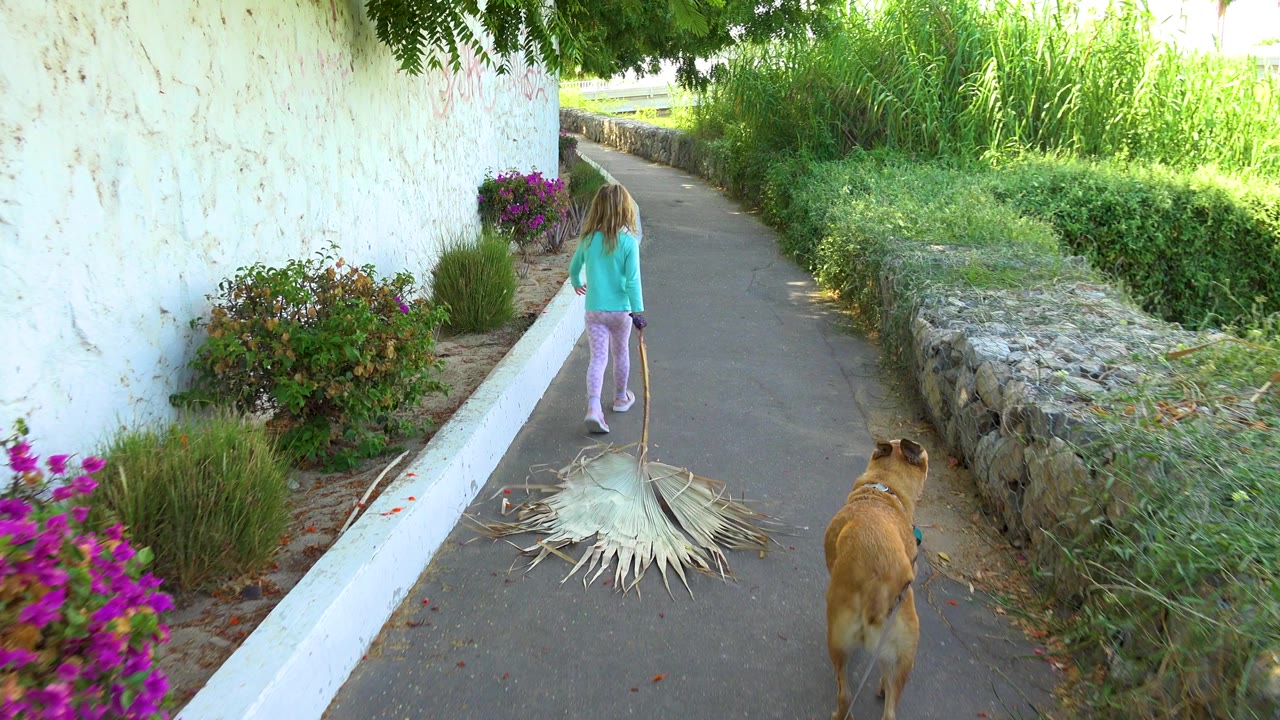 Girl continues down the path on a straw broom as the dog follows at right.