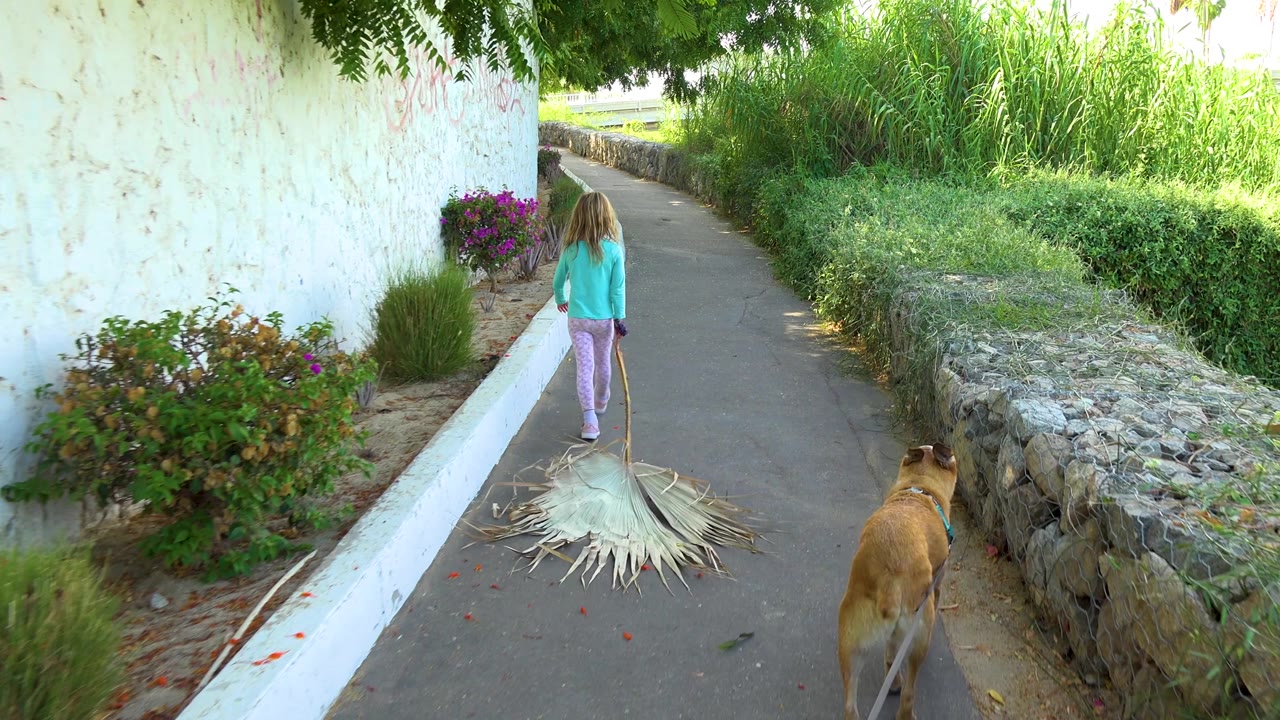 Two seconds in, the child has moved farther from camera, the broom trails beneath her, and the dog stays near the lower right as the white wall and tall greenery frame the walkway.