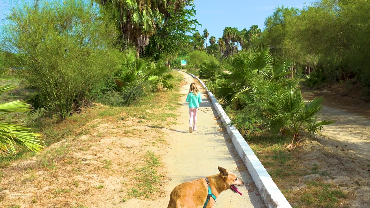 Girl farther up the path with dog near the bottom edge.