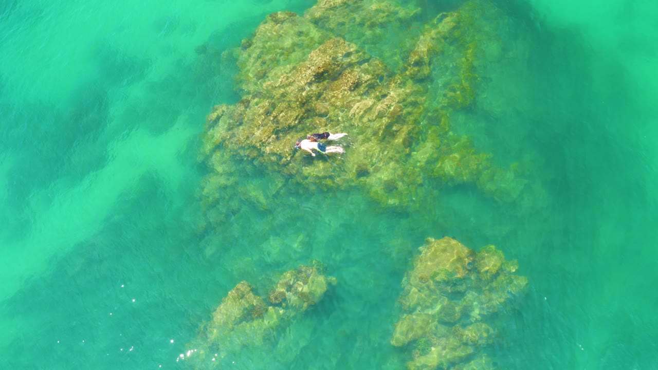 Top-down aerial frame at Palmilla Beach shows a surfer on a white surfboard near a large green reef patch under clear turquoise water, with no readable face or shoreline visible.