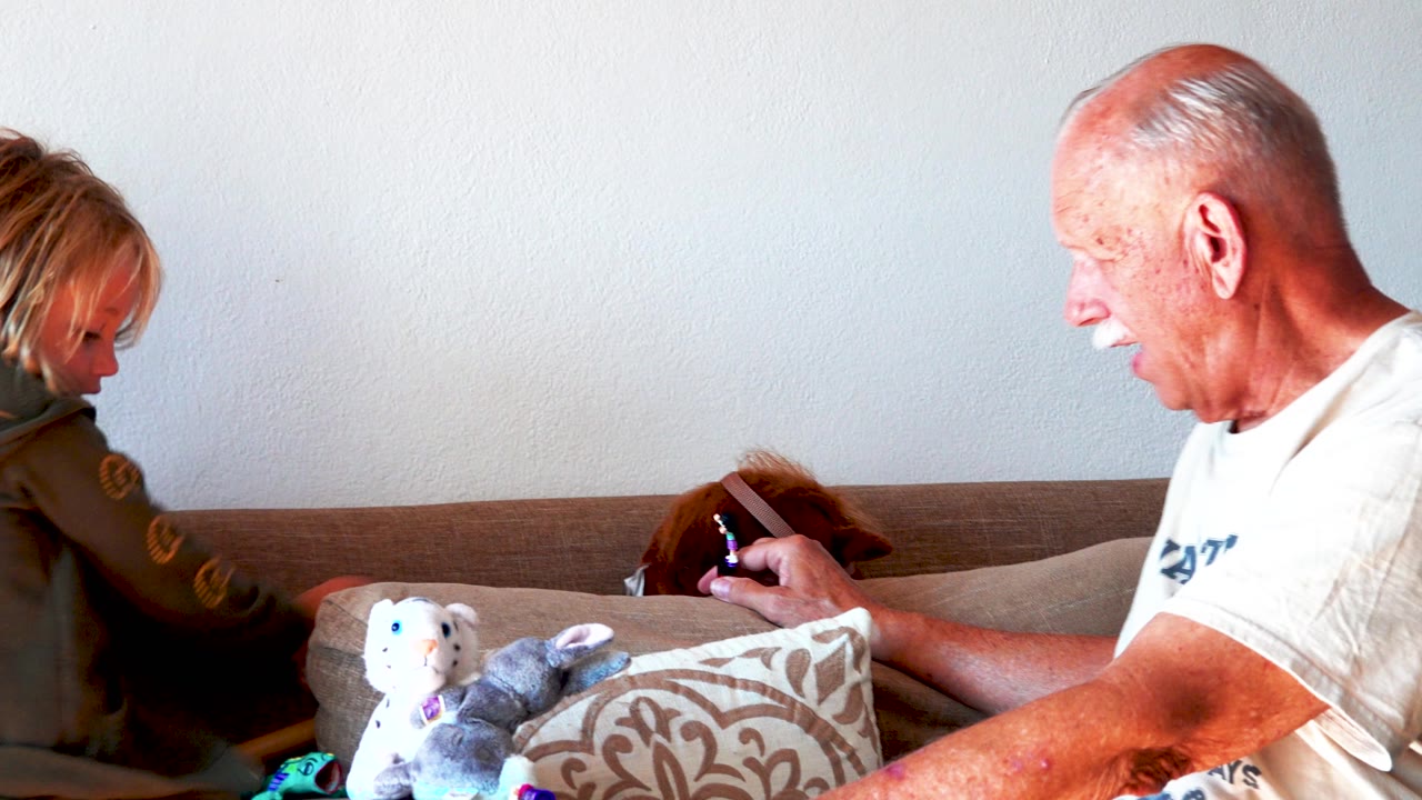 A blonde young girl sits at the left edge of a brown sofa while an elderly man in a white shirt looks down at a small object near a patterned pillow and stuffed animals.
