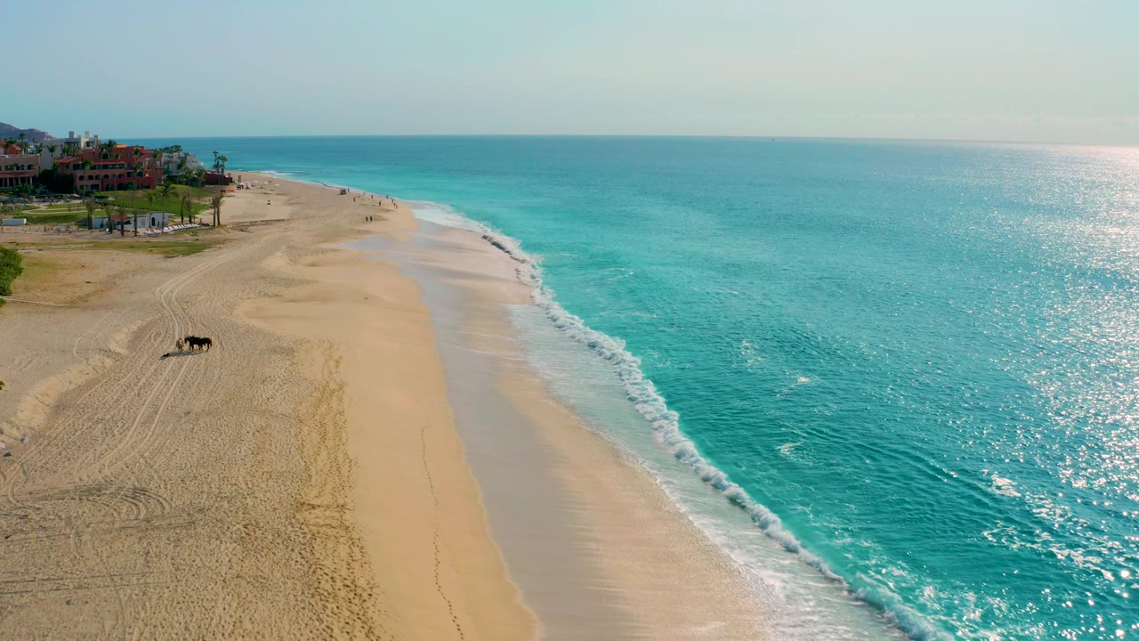 High-angle frame at Desert Park Natural Reserve in Baja California Sur showing the turquoise sea, a pale surf edge, open sand, a lone dark animal closer to mid-beach, distant coastal buildings, and no visible people.