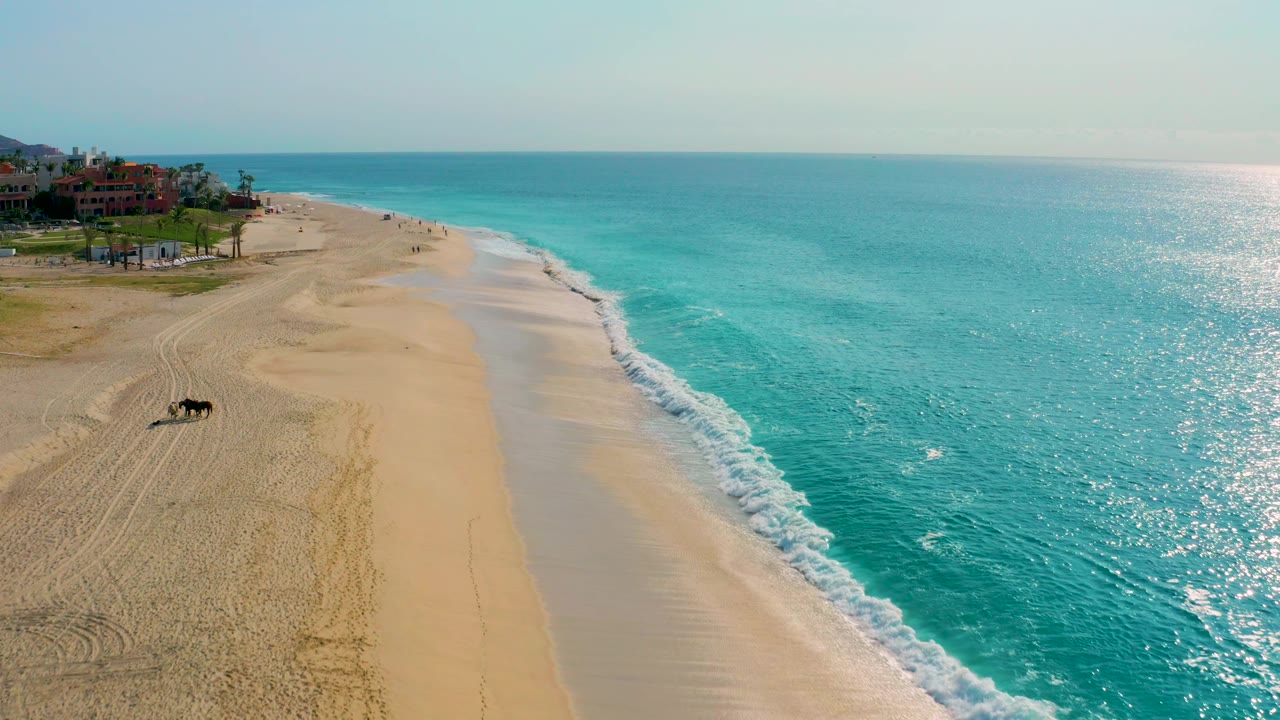 Aerial beach scene with turquoise water, white waves, and a dark animal near the lower sand.
