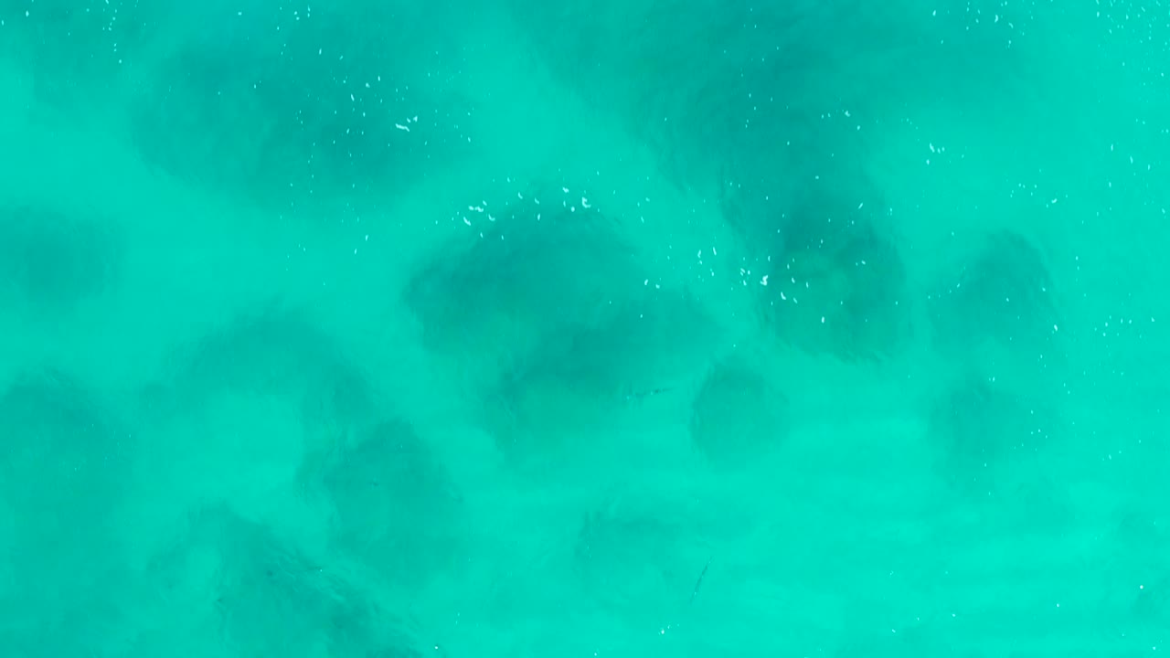 Straight-down aerial view of clear turquoise shallows in Desert Park Natural Reserve, Baja California Sur, with faint sand ripples and scattered white surface specks, no visible people.