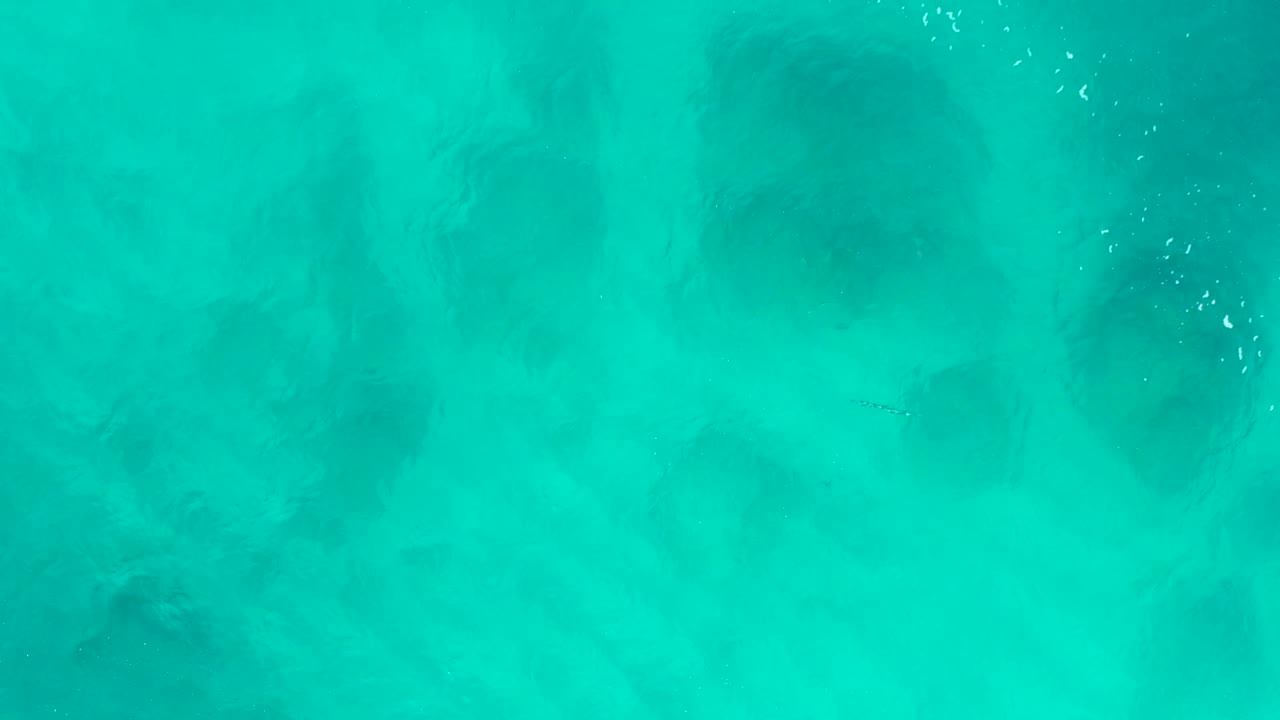 Aerial overhead view of teal water in Baja California Sur with diffuse darker shapes below the surface and a small cluster of white bubbles, no visible people.