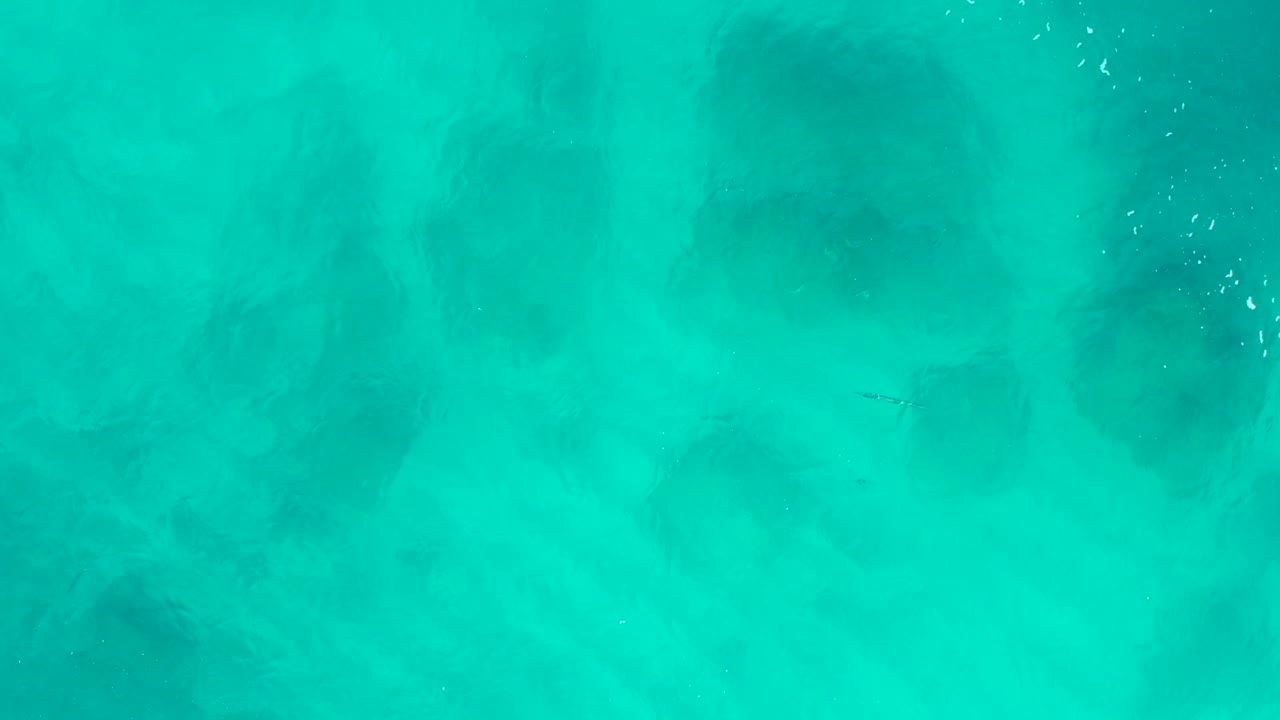Top-down drone-style frame of turquoise shallow water in Baja California Sur, with darker submerged forms softened by the surface and no visible people.