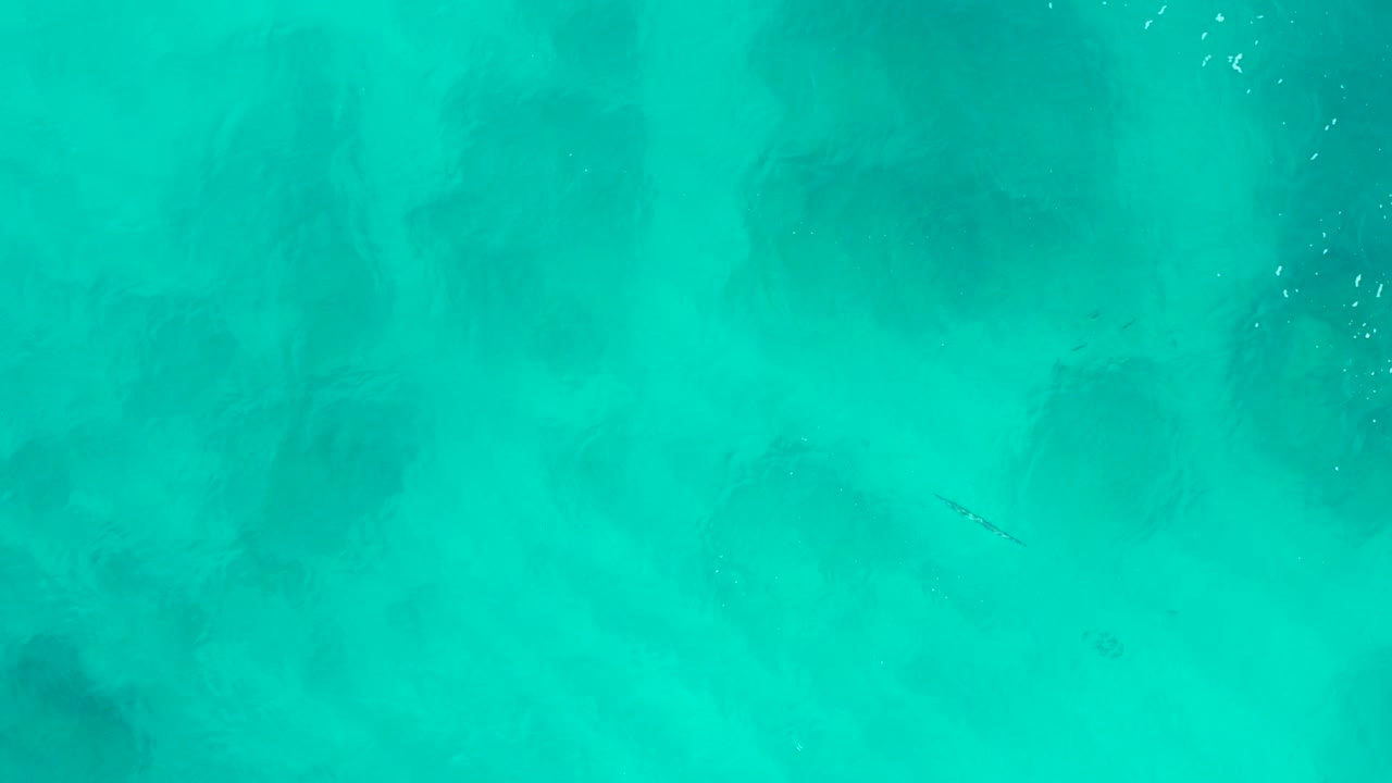 Top-down aerial view of turquoise water at Desert Park Natural Reserve in Baja California Sur, with soft dark shapes beneath the surface and no visible people.
