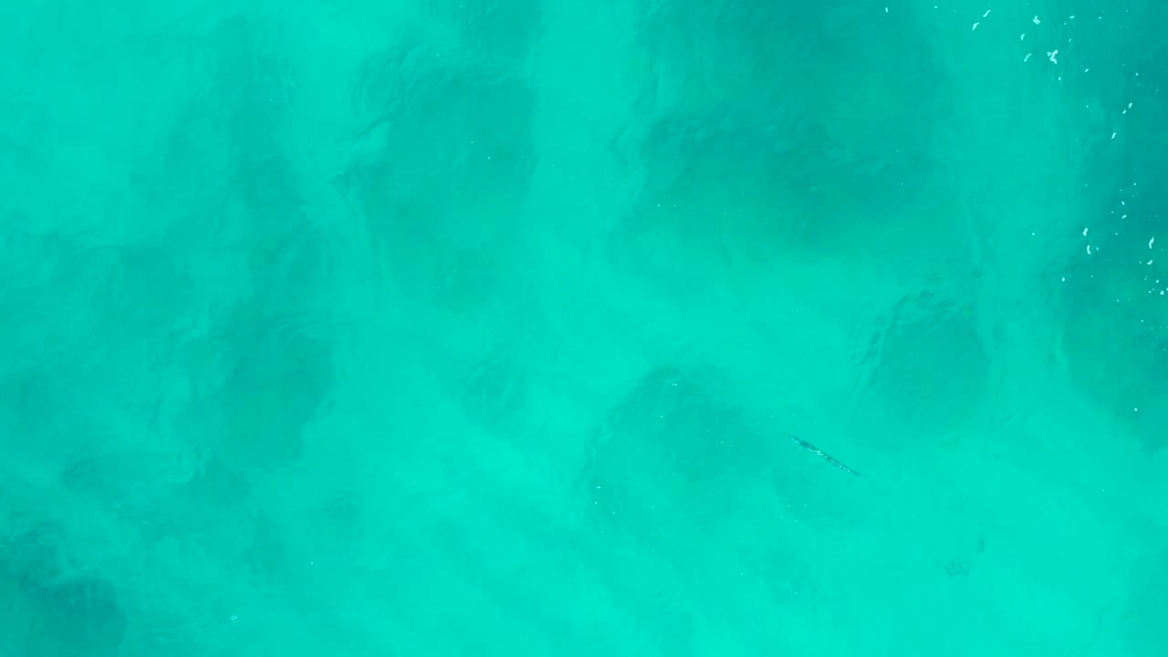 Top-down view of shallow turquoise water at Desert Park Natural Reserve, with a thin dark line-like shape below the surface and no visible people.