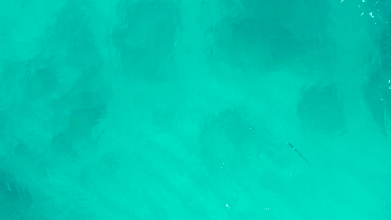 Overhead view of clear green-blue water in Baja California Sur, Mexico, where darker underwater shapes sit beneath a smooth surface with no visible people.