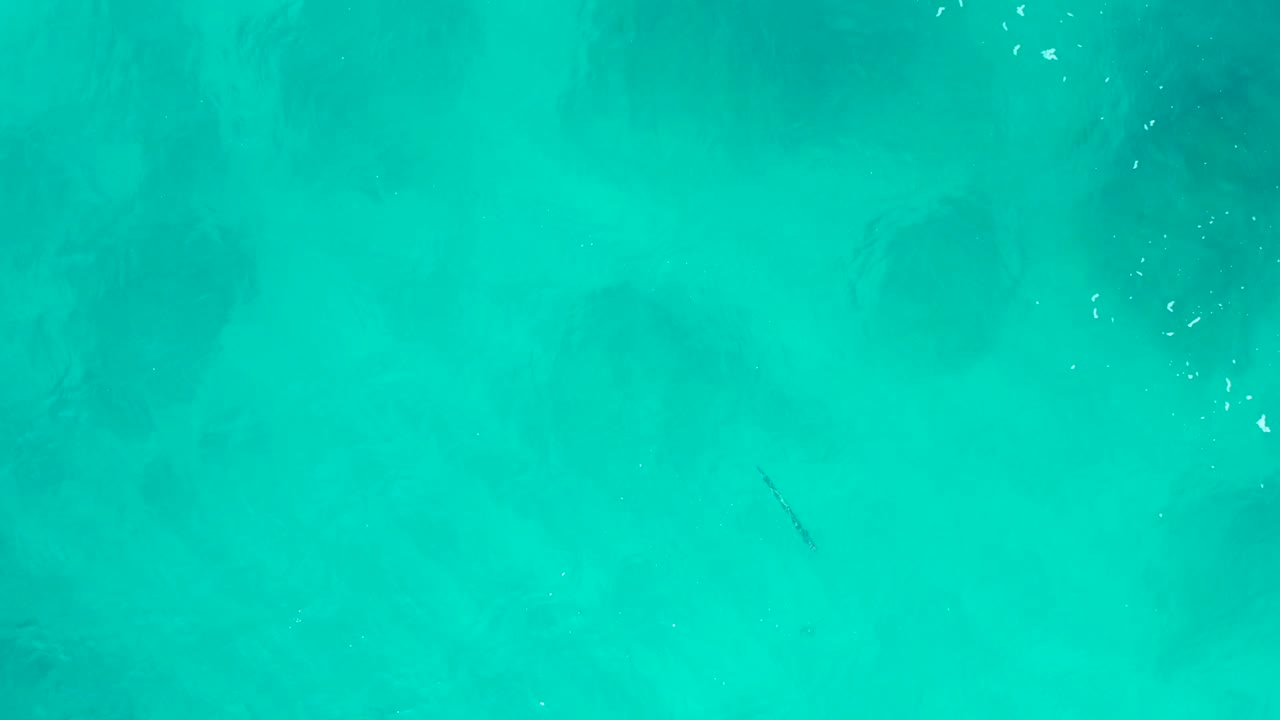 Overhead turquoise water in Baja California Sur, Mexico, with a thin dark streak below the surface and scattered white bubbles, no visible people.