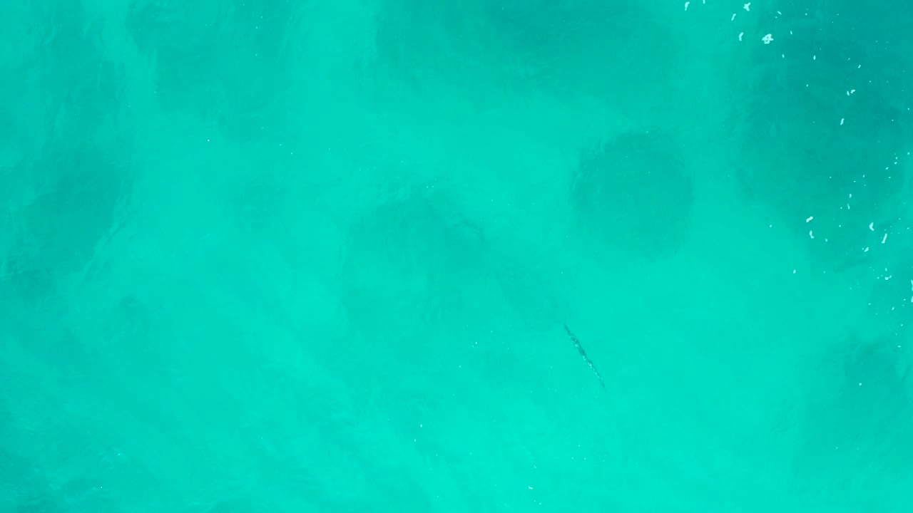A straight-down aerial frame shows turquoise water in Baja California Sur, darker cloud-like patches under the surface, small white bubbles on the right side, and no visible people.