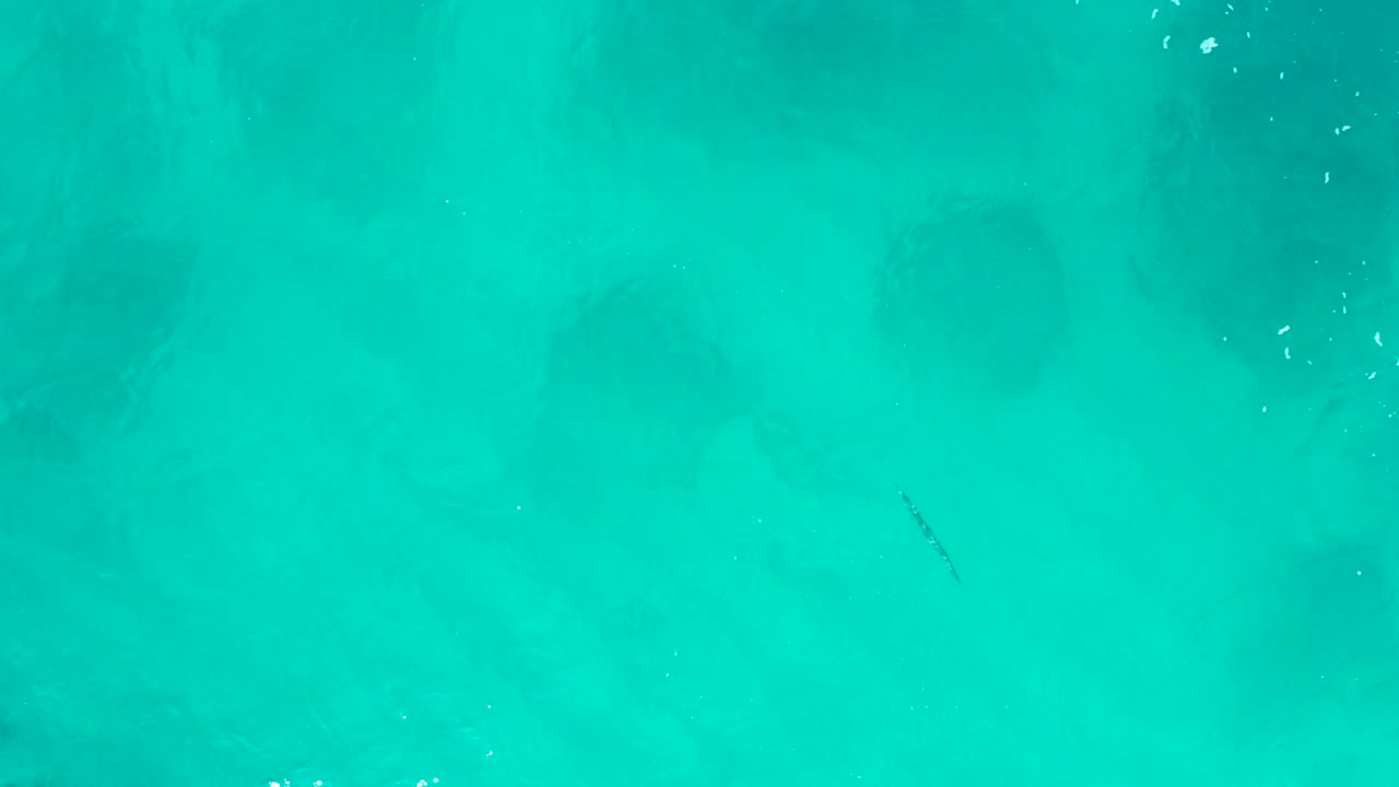 Blue-green water at Desert Park Natural Reserve appears from above with muted darker patches, light surface texture, a thin dark object left of center, and no visible people.