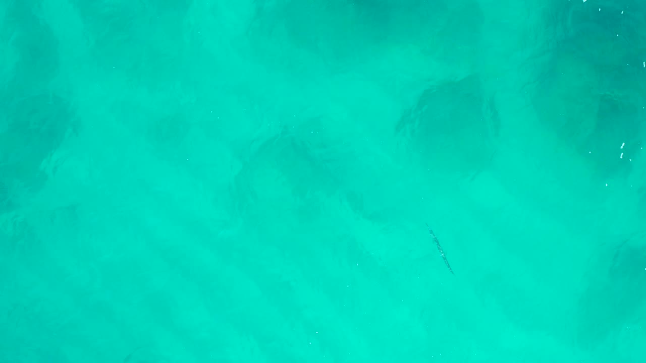 A top-down view of turquoise water in Baja California Sur shows a narrow dark fish shadow low in the frame with no visible people.